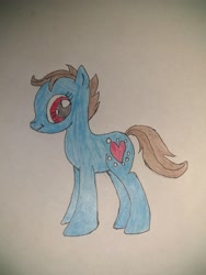 Size: 2448x3264 | Tagged: safe, anonymous artist, oc, oc only, earth pony, pony, earth pony oc, high res, solo, traditional art