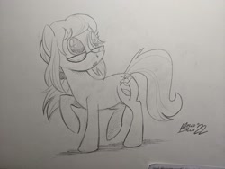 Size: 2048x1536 | Tagged: safe, artist:mellodillo, oc, oc only, earth pony, pony, female, glasses, grayscale, mare, monochrome, pencil drawing, solo, traditional art