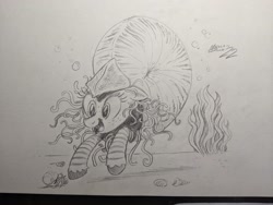 Size: 2048x1536 | Tagged: safe, artist:mellodillo, oc, oc only, oc:nautila, nautilus, nautilus pony, pony, female, grayscale, mare, monochrome, open mouth, open smile, pencil drawing, smiling, solo, traditional art, underwater, water