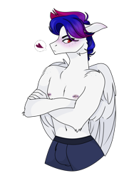 Size: 1256x1668 | Tagged: safe, artist:tired-horse-studios, oc, oc:sorbet swirl, pegasus, anthro, clothes, crossed arms, male, male nipples, nipple piercing, nipples, nudity, partial nudity, piercing, simple background, solo, topless, transparent background