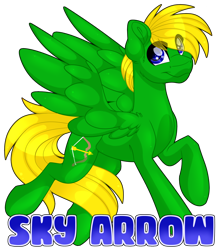 Size: 1280x1438 | Tagged: safe, artist:thehaywaiianhorse, oc, oc:sky arrow, pegasus, pony, male, simple background, solo, stallion, transparent background