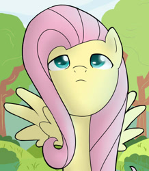 Size: 448x513 | Tagged: safe, artist:nerow94, fluttershy, pegasus, pony, g4, female, solo, spread wings, wings