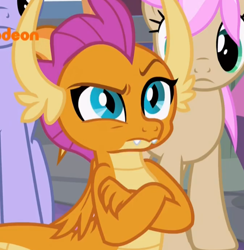 Size: 844x864 | Tagged: safe, screencap, auburn vision, smolder, strawberry scoop, dragon, school raze, cropped, crossed arms, friendship student, raised eyebrow, solo, solo focus
