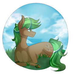 Size: 1400x1400 | Tagged: safe, artist:umimizunone, oc, oc only, oc:jaeger sylva, earth pony, pony, lying down, male, partial background, prone, simple background, solo, stallion, transparent background