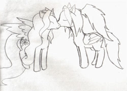 Size: 800x569 | Tagged: safe, artist:binikastar, oc, oc only, alicorn, pony, alicorn oc, duo, eyes closed, horn, kissing, lineart, oc x oc, shipping, traditional art, wings