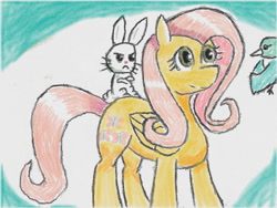 Size: 640x480 | Tagged: safe, artist:あすぐり, angel bunny, fluttershy, bird, pegasus, pony, rabbit, g4, angel riding fluttershy, angry, animal, crossed arms, female, flying, folded wings, male, mare, rabbits riding ponies, riding, riding a pony, traditional art, whiskers, wings