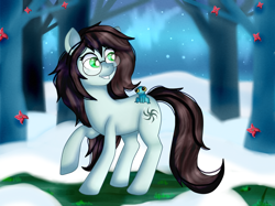Size: 1368x1023 | Tagged: safe, artist:lelka-philka, oc, oc only, earth pony, frog, pony, female, forest, glasses, snow, solo