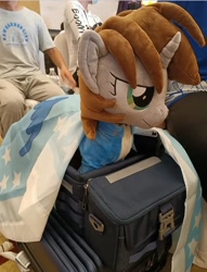 Size: 720x944 | Tagged: safe, oc, oc:littlepip, fallout equestria, china, china ponycon, china ponycon 2022, irl, photo, plushie, wuhan