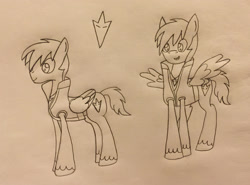 Size: 2657x1969 | Tagged: safe, artist:lunahazacookie, oc, oc only, oc:nightwish, pegasus, pony, clothes, duo, male, pegasus oc, reference sheet, smiling, solo, stallion, traditional art, unshorn fetlocks, wings