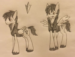 Size: 2529x1935 | Tagged: safe, alternate version, artist:lunahazacookie, oc, oc only, oc:nightwish, pegasus, pony, clothes, colored, duo, high res, male, pegasus oc, smiling, solo, stallion, traditional art, unshorn fetlocks, wings