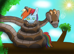 Size: 1170x850 | Tagged: safe, artist:kinipharian, rainbow dash, pegasus, pony, g4, coils, duo, female, hypno dash, hypno eyes, hypnosis, hypnotized, kaa, kaa eyes, kaa hypnotism paraphilia, male, mare, outdoors, smiling