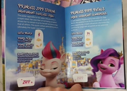 Size: 2048x1469 | Tagged: safe, pipp petals, zipp storm, pegasus, pony, g5, my little pony: virtual magic, book, irl, photo