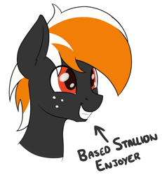 Size: 1254x1356 | Tagged: safe, artist:ponynamedmixtape, oc, oc only, oc:se, pony, bust, freckles, happy, male, simple background, solo, text, transparent background