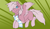 Size: 3128x1827 | Tagged: safe, artist:ababumilkshake, oc, oc only, oc:pastel dawn, pegasus, clothes, flying, male, scarf, solo, striped scarf