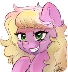 Size: 868x921 | Tagged: safe, artist:scarlett-letter, oc, oc only, oc:twisted ankle, earth pony, pony, bust, earth pony oc, eyebrows, eyebrows visible through hair, female, grin, lidded eyes, mare, reaction image, signature, simple background, sketch, smiling, smug, solo, transparent background