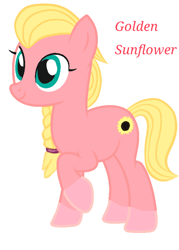 Size: 620x866 | Tagged: safe, artist:sproutscoutotp, oc, oc only, oc:golden sunflower, earth pony, pony, coat markings, female, mare, offspring, parent:sprout cloverleaf, parent:sunny starscout, parents:sunnysprout, simple background, socks (coat markings), text, white background