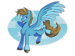 Size: 2732x2048 | Tagged: safe, artist:sursiq, oc, oc only, oc:carbon, pegasus, pony, blue eyes, brown mane, coat markings, colored wings, cute, happy, high res, hooves, male, multicolored wings, open mouth, outline, pegasus oc, raised hoof, simple background, sky, socks (coat markings), solo, spread wings, stallion, transparent background, unshorn fetlocks, white outline, wings