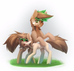 Size: 2313x2230 | Tagged: safe, artist:n_thing, oc, oc only, earth pony, pony, brown coat, brown tail, cheek fluff, duo, earth pony oc, facial markings, grass, high res, looking at someone, looking at you, simple background, standing, standing over, tail, two toned mane, white background