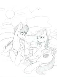 Size: 3436x4671 | Tagged: safe, artist:longinius, oc, oc only, oc:star spicer, oc:strumbeat strings, pegasus, pony, bow, butt, clothes, duo, female, food, grayscale, guitar, hair bow, high res, looking at each other, looking at someone, lying down, male, mare, monochrome, musical instrument, oc x oc, on side, picnic blanket, plot, prone, shipping, shirt, smiling, stallion, tea, traditional art