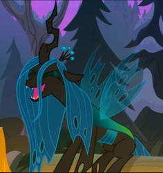Size: 684x724 | Tagged: safe, screencap, queen chrysalis, changeling, changeling queen, frenemies (episode), g4, concave belly, cropped, eyes closed, female, lanky, laughing, sitting, skinny, solo, tall, thin