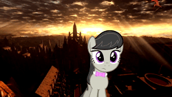 Size: 1280x720 | Tagged: safe, edit, octavia melody, earth pony, pony, g4, animated, dark souls, female, music, question, solo, sound, vector, webm
