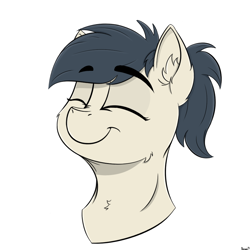 Size: 900x900 | Tagged: safe, artist:rapid9, pony, bust, commission, ear fluff, eyes closed, ponytail, portrait, simple background, smiling, solo, white background, ych result