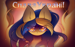 Size: 2400x1500 | Tagged: safe, artist:miryelis, oc, oc only, oc:ukraine, earth pony, pony, angry, big ears, comments locked down, current events, fire, glowing, glowing eyes, graveyard of comments, grimcute, long hair, looking at you, nation ponies, serious, solo, text, ukraine, ukrainian independence day