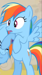 Size: 406x728 | Tagged: safe, screencap, rainbow dash, changeling, pegasus, pony, a canterlot wedding, g4, season 2, bipedal, cropped, disguise, disguised changeling, solo focus