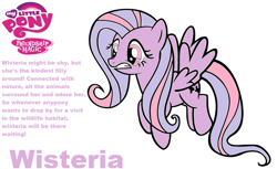 Size: 1048x640 | Tagged: safe, artist:pinkamenarockscute13, wysteria, pegasus, pony, g3, g4, female, g3 to g4, generation leap, mare, my little pony logo, pegasus wysteria, profile, race swap, shocked, simple background, spread wings, text, white background, wings