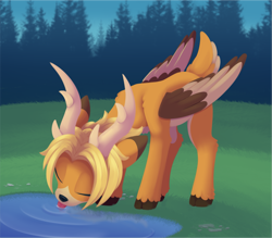 Size: 2767x2426 | Tagged: safe, artist:dusthiel, oc, oc only, deer, deer pony, original species, peryton, drinking, eyes closed, forest, high res, puddle, solo, tongue out