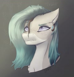 Size: 1831x1910 | Tagged: safe, artist:thelazyponyy, oc, oc only, earth pony, pony, bust, female, mare, solo