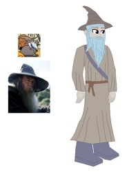 Size: 553x741 | Tagged: safe, artist:robertsonskywa1, idw, human, equestria girls, g4, spoiler:comic15, beard, clothes, equestria girls-ified, facial hair, gandalf, gandalf the grey, hat, lord of the rings, photo, pony to human, robe, simple background, solo, white background, wizard, wizard hat