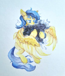 Size: 2500x2936 | Tagged: safe, artist:laymy, oc, oc only, pegasus, pony, high res, solo