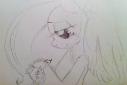 Size: 1125x750 | Tagged: safe, artist:kluzart, fluttershy, bird, pegasus, pony, g4, bust, female, holding, lidded eyes, looking at someone, mare, monochrome, pencil drawing, profile, smiling, solo, spread wings, traditional art, wings