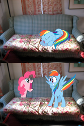 Size: 1600x2400 | Tagged: safe, artist:elboufon, artist:pangbot, pinkie pie, rainbow dash, earth pony, pegasus, pony, g4, cartoon physics, female, forever, irl, mare, photo, pinkie being pinkie, pinkie physics, ponies in real life, sleeping, sleepydash