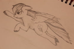 Size: 5184x3456 | Tagged: safe, artist:lawliet13, rainbow dash, pegasus, pony, g4, flying, monochrome, sketch, solo, traditional art