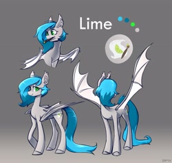 Size: 4096x3899 | Tagged: safe, artist:laymy, oc, oc only, bat pony, pony, bat pony oc, reference sheet, solo