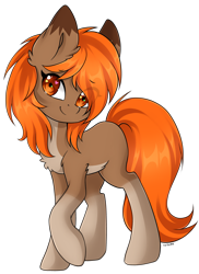 Size: 3396x4657 | Tagged: safe, artist:torihime, oc, oc only, oc:autumn breeze, earth pony, pony, brown coat, chest fluff, coat markings, colored eartips, cute, ear fluff, eye clipping through hair, eyebrows, eyebrows visible through hair, female, full body, heart, heart eyes, looking at you, mare, orange eyes, orange mane, orange tail, pale belly, simple background, smiling, smiling at you, socks (coat markings), solo, tail, transparent background, wingding eyes