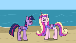 Size: 1920x1080 | Tagged: safe, artist:platinumdrop, princess cadance, twilight sparkle, alicorn, pony, g4, beach, clothes, duo, female, folded wings, mare, missing accessory, one-piece swimsuit, request, sisters-in-law, swimsuit, twilight sparkle (alicorn), wings