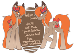 Size: 675x487 | Tagged: safe, artist:raya, oc, oc only, oc:autumn breeze, earth pony, pony, bio, bow, hair bow, simple background, solo, text, transparent background