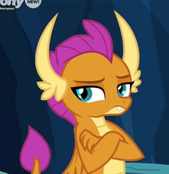 Size: 602x617 | Tagged: safe, screencap, smolder, dragon, g4, season 9, uprooted, cropped, crossed arms, dragoness, female, looking at you, smolder is not amused, solo, unamused