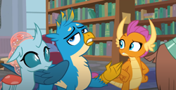 Size: 1042x532 | Tagged: safe, screencap, gallus, ocellus, smolder, yona, changedling, changeling, dragon, griffon, yak, g4, season 8, what lies beneath, bookshelf, offscreen character, raised eyebrow