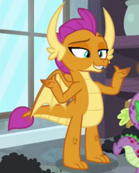 Size: 606x756 | Tagged: safe, screencap, smolder, spike, dragon, g4, molt down, my little pony: friendship is magic, season 8, cropped, dragoness, female, solo focus