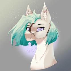 Size: 2000x2000 | Tagged: safe, artist:thelazyponyy, oc, oc only, earth pony, pony, bust, ear fluff, ear piercing, earring, earth pony oc, female, high res, jewelry, mare, piercing, solo
