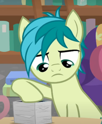 Size: 360x435 | Tagged: safe, screencap, sandbar, earth pony, pony, g4, what lies beneath, bookshelf, cropped, ladder, looking down, male, sandbar is not amused, solo, unamused