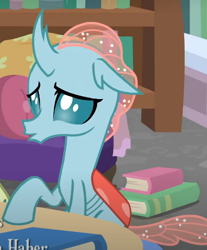 Size: 426x515 | Tagged: safe, screencap, ocellus, changedling, changeling, g4, what lies beneath, book, bookshelf, cropped, solo