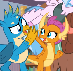 Size: 464x453 | Tagged: safe, screencap, gallus, silverstream, smolder, yona, classical hippogriff, dragon, griffon, hippogriff, yak, g4, what lies beneath, cropped, high five, offscreen character