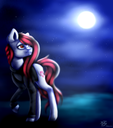 Size: 2300x2607 | Tagged: safe, artist:prettyshinegp, oc, oc only, earth pony, pony, clothes, earth pony oc, female, full moon, high res, hoodie, looking back, mare, moon, night, outdoors, raised hoof, solo