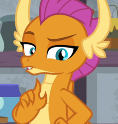 Size: 524x552 | Tagged: safe, screencap, smolder, dragon, g4, molt down, cropped, dragoness, female, looking at you, raised eyebrow, solo