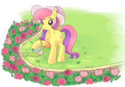 Size: 903x627 | Tagged: safe, artist:serasugee, oc, oc only, earth pony, pony, flower, grass, rose, scenery, sketch, solo, watering can, yellow